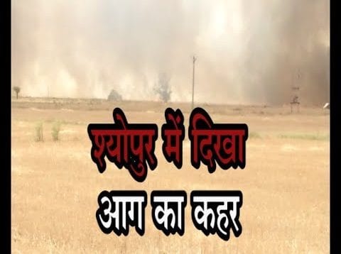 आग में जलकर खाक हुई अन्नदाता की मेहनत