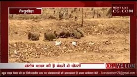 हनुमान जन्मोत्सव पर हुई वानरों की दावत