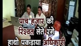 पांच हजार की रिश्वत लेते रंगे हाथो पकड़ाया अधिकारी