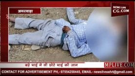 मां को पीटता देख कर दी छोटे भाई की हत्या