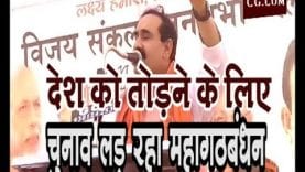 देश को तोड़ने के लिए चुनाव लड़ रहा महागठबंधन