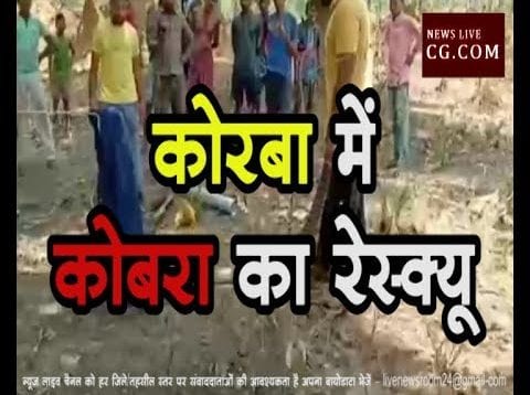 कोरबा में कोबरा का रेस्क्यू