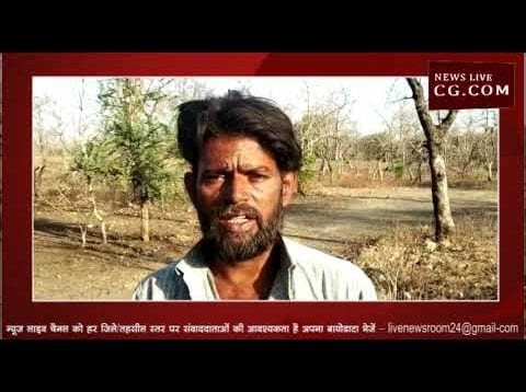 पेड़ से टकराया ट्रक लगी आग