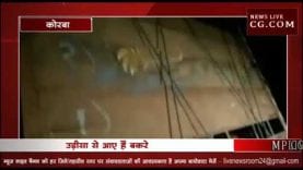 कोरबा पुलिस ने पकड़े 400 चुनावी बकरे