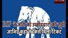 BSP ने जारी की उम्मीदवारों की सूची, जानिए कहां से किसे मिला टिकट