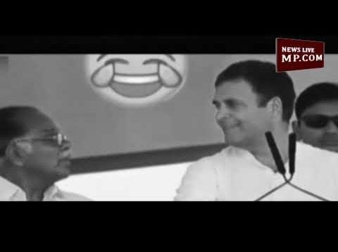 funny rahul gandhi – वायनाड में किसने दी राहुल गांधी को मात