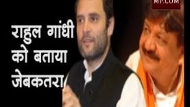 Loksabha Election 2019- अब इस नेता ने राहुल गांधी को बताया जेबकतरा