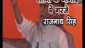 loksabha election 2019-सतना के नागौद में गरजे राजनाथ सिंह