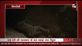 सिंगरौली में अजाद घूमते है तेंदुए जैसे जंगली जानवर