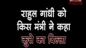 राहुल गांधी को किस मंत्री ने कहा कुत्ते का पिल्ला