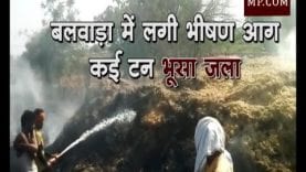 बलवाड़ा में लगी भीषण आग से कई टन भूसा जला