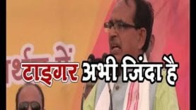 Loksabha chunav 2019- टाइगर अभी जिंदा है-Again