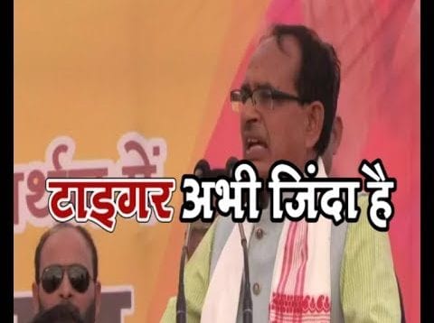 Loksabha chunav 2019- टाइगर अभी जिंदा है-Again