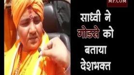 Loksabha election 2019- साध्वी प्रज्ञा ने फिर दिया विवादित बयान, नाथूराम गोडसे को बताया देशभक्त