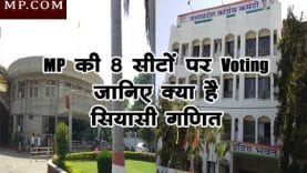 Loksabha Election 2019- MP की 8 सीटों पर Voting, जानिए क्या है सियासी गणित