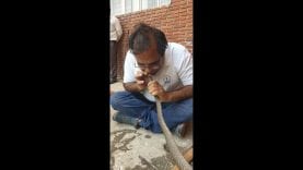 अजब गजब — आयकर अधिकारी ने सांपा को दिया CPR