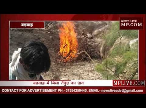 बड़वाह में मिला तेंदुए का क्षतविक्षत श​व