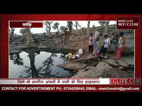 दमोह में एक ही पानी पी रहे जानवर और इंसान