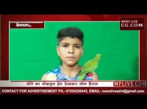 क्या आपने कभी देखा है मोबाइल प्रेमी तोता?