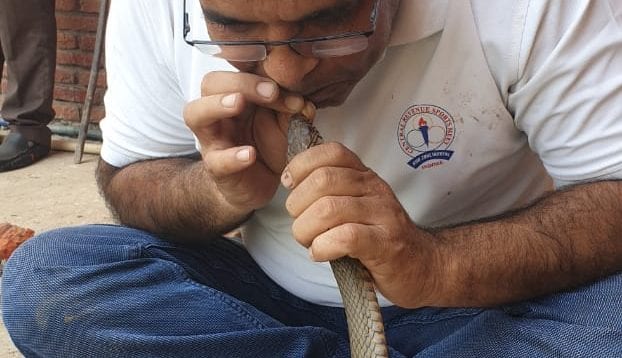 a2e16e34-ad74-466c-b8ed-7c56a5df7e28