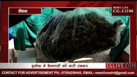 बैलगाड़ी से हुई टक्कर, 30 लाख का डोडा चूरा हुआ जप्त