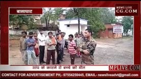 सांप ने किया मां का आंचल सूना