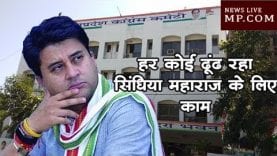 क्या इतनी फुरसत में हैं ज्योतिरादित्य सिंधिया? हर कोई ढूंढ रहा महाराज के लिए काम