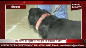 सीएम कमलनाथ ने अपनी सुरक्षा के लिए छिंदवाड़ा से मंगाए कुत्ते
