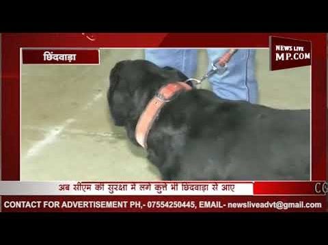 सीएम कमलनाथ ने अपनी सुरक्षा के लिए छिंदवाड़ा से मंगाए कुत्ते