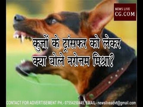 कुत्तों के ट्रांसफर को लेकर क्या बोले नरोत्तम मिश्रा?