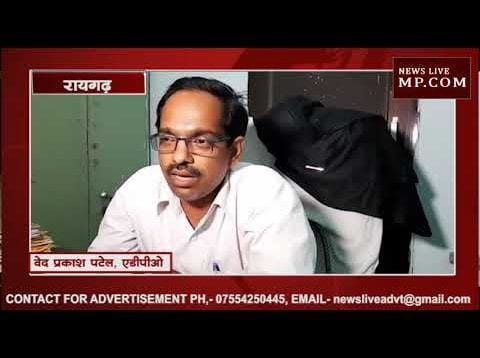 रायगढ़ में पालतू हाथी बना वन विभाग के जी का जंजाल