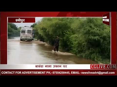 सेल्फी का दीवाना कैसे जोखिम में डाल रहा जान, देखिए वीडियो
