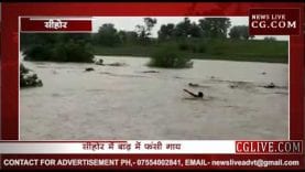 जान पर खेलकर किया बाढ़ में फंसी गाय का रेस्क्यू