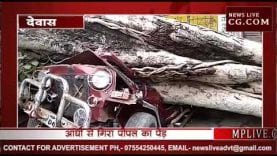 देवास में हुई aaभारी बारिश ,आंधी से गिरा 72 साल पुराना पीपल का पेड़