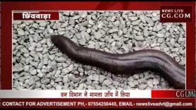 CM के जिले में करोड़ों के सांप की तस्करी