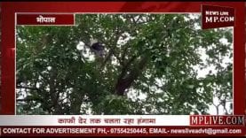 MP विधानसभा की सुरक्षा में लगी सेंध?