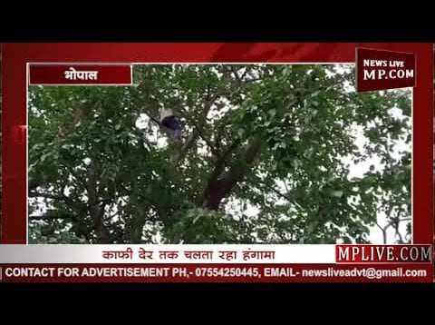 MP विधानसभा की सुरक्षा में लगी सेंध?