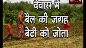 MP में किसानों की दुर्दशा, बेटी ने बैल बनकर चलाया हल