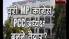 पूरी MP कांग्रेस PCC अध्यक्ष बनने तैयार?