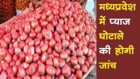 कमलनाथ खुलवाएंगे शिवराज सरकार के प्याज घोटाले की परतें