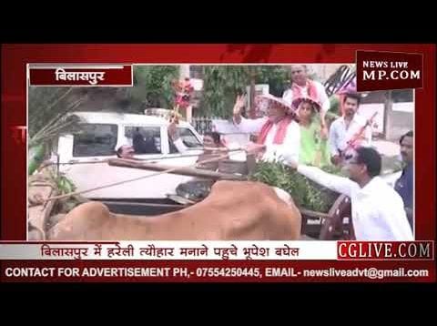 सीएम भूपेश बघेल ने बिलासपुर में मनाया हरेली तिहार