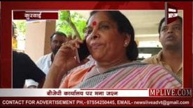 दमोह में मना जश्न, सुधा मलैया ने जताया मोदी का आभार