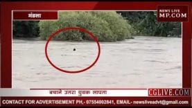 बहती लकड़ी उठाने के लालच में नदी में गिरी महिला, देखिए वीडियो