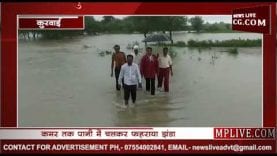 कुरवाई में कमर तक पानी में चलकर फहराया झंडा