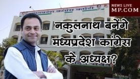 नकुलनाथ बनेंगे मध्यप्रदेश कांग्रेस के अध्यक्ष?