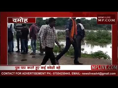 एमपी में बारिश का कहर, बाढ़ में बहे जानवर, देखिए LIVE वीडियो