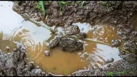 बड़वानी में जमीन के नीचे धमाकों से मची दहशत