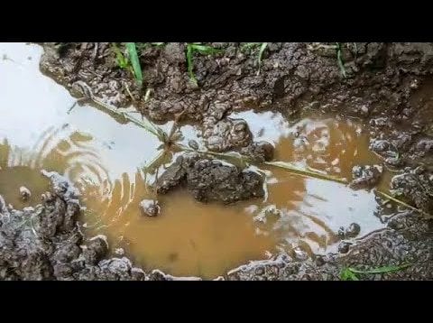 बड़वानी में जमीन के नीचे धमाकों से मची दहशत