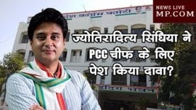 बड़ी खबर – ज्योतिरादित्य सिंधिया ने PCC चीफ के लिए पेश किया दावा?