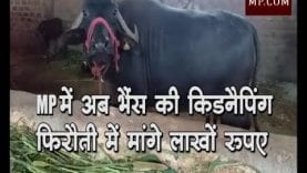 MP में अब तक की सबसे बड़ी किडनैपिंग, फिरौती में मांगे लाखों रुपए